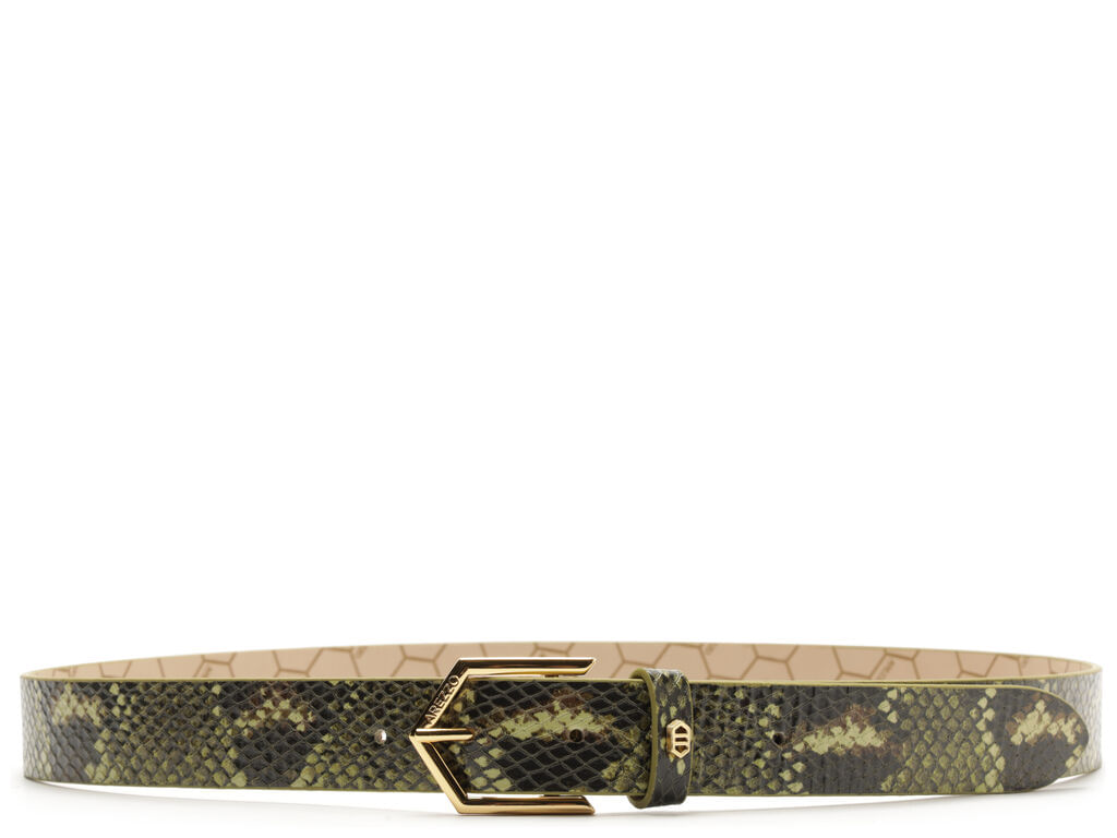 cinto arezzo largo snake breeze cobra 43000-1